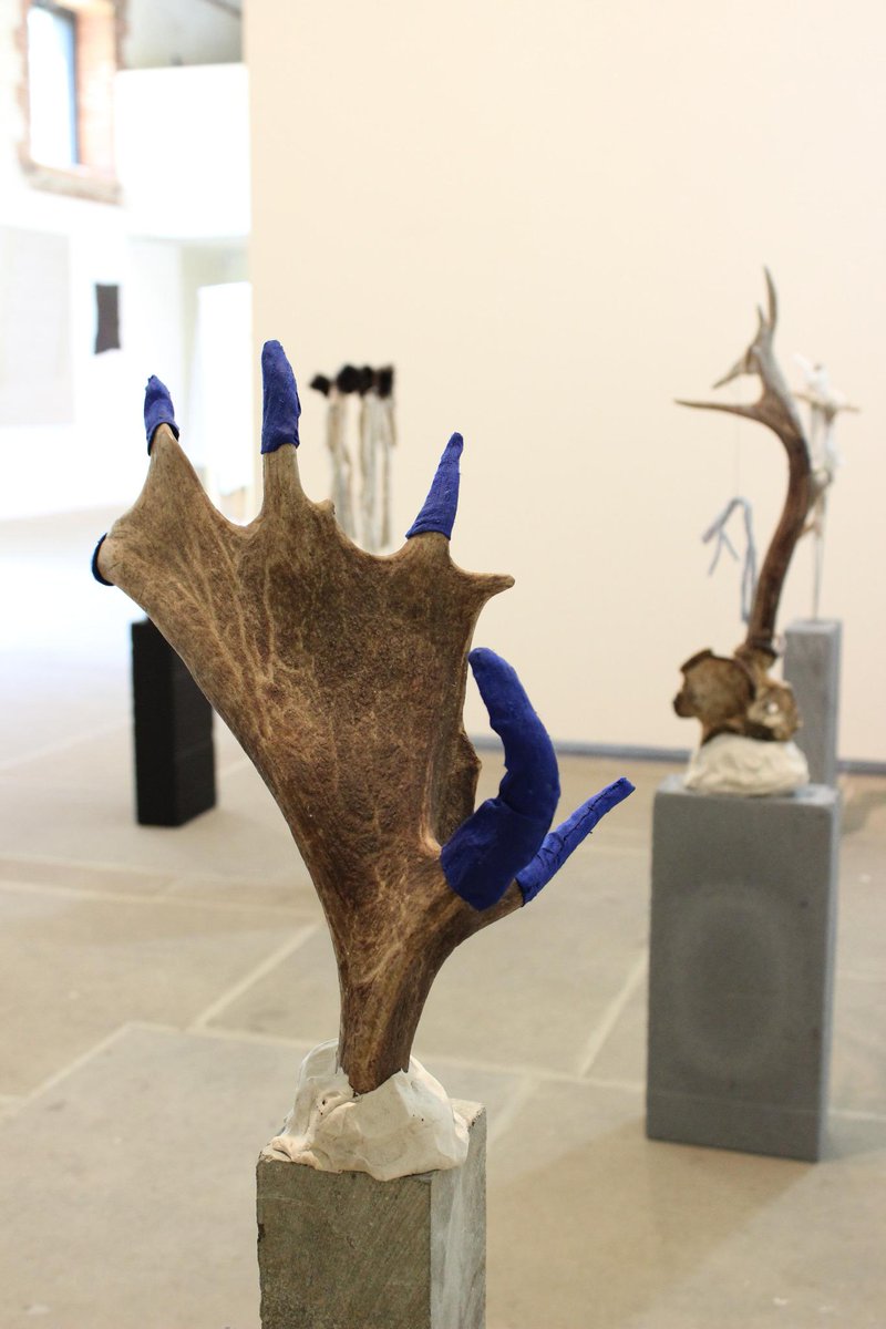 westdeangardens's tweet photo. #CreativeArts #VisualArts #CreativeWriting #StringedMusicalInstruments Open Day 7 February 2015. Diploma, MA & MFA http://t.co/58yoWHE1yN