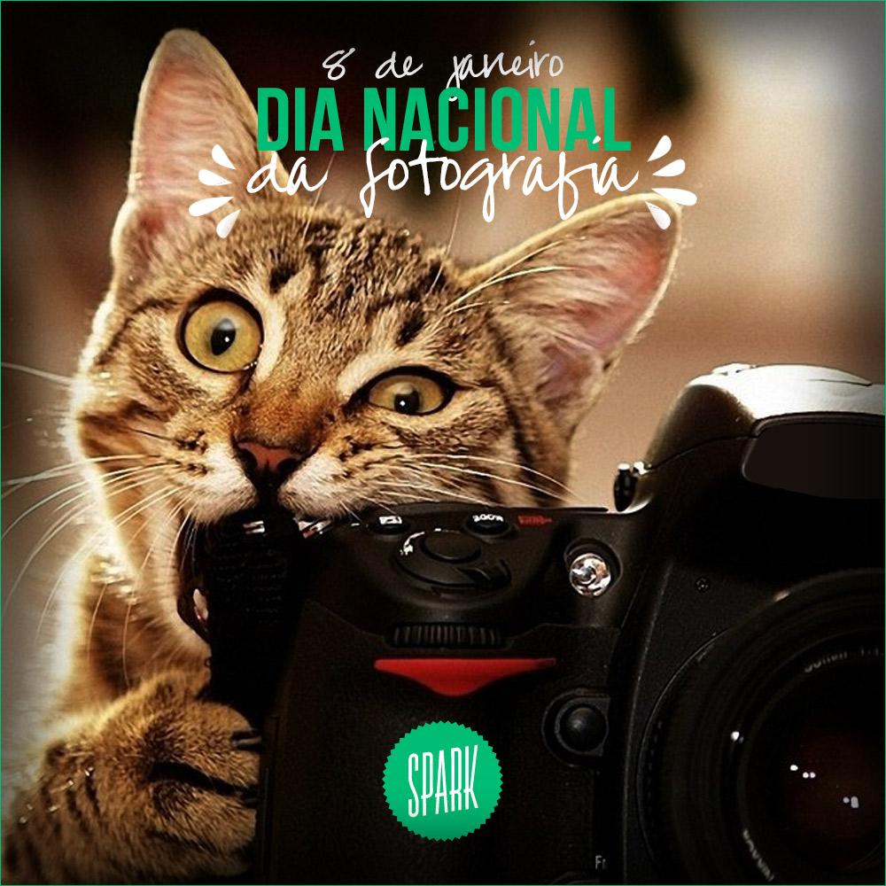 spark_cases's tweet image. “Fotografar é colocar na mesma linha, a cabeça, o olho e o coração.”- Henri Cartier-Bresson #fotografia