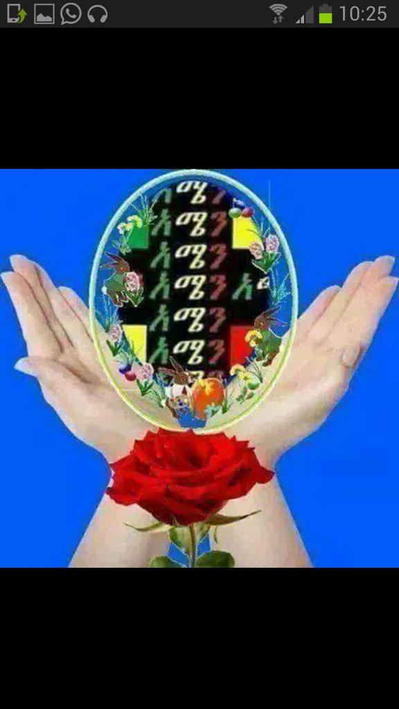ba61d5bc10174fa's tweet photo. @Yaseratlij22 http://t.co/AGekoIdweN