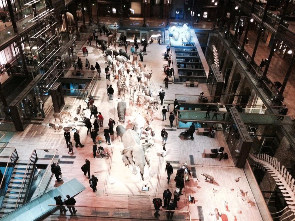 Hangjun's tweet image. 세상의 모든 것을 영화로 만들어 캔에 담고 이걸 모두 배 속에...노아의 방주