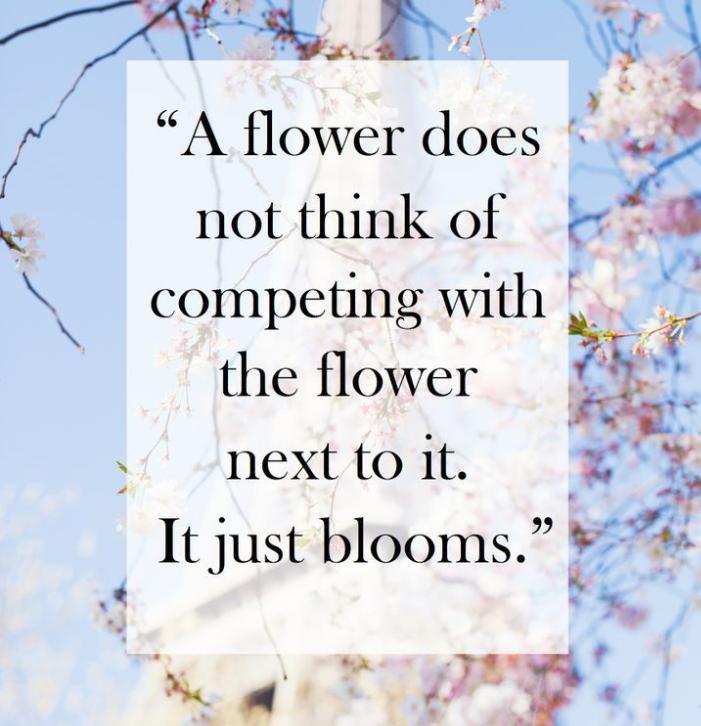 nidhiverma10's tweet photo. #WisdomTime #quotewithapicture http://t.co/Iq7t4PPfax