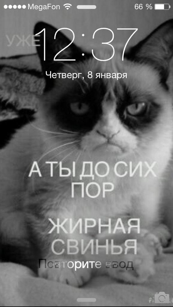 nastasyanirvana's tweet photo. Поставила себе http://t.co/1Ewbx69tSh