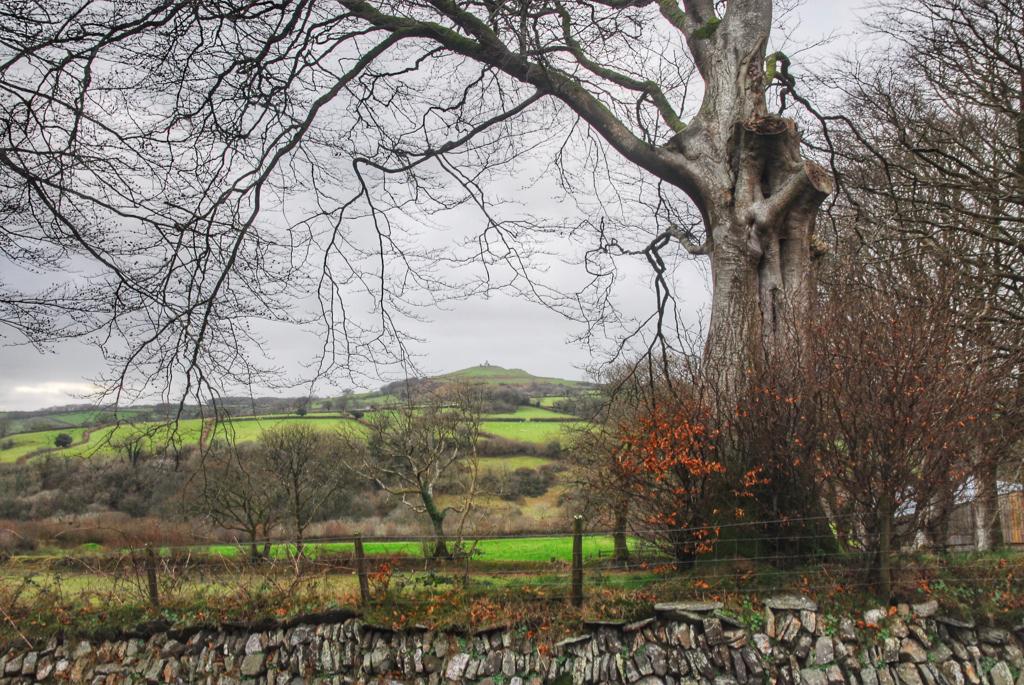 sentfromdevon's tweet image. Our #Devon Picture of the Day is Brent Tor #Dartmoor by @RachelBurch2 - pls follow her and RT. #sentfromdevon