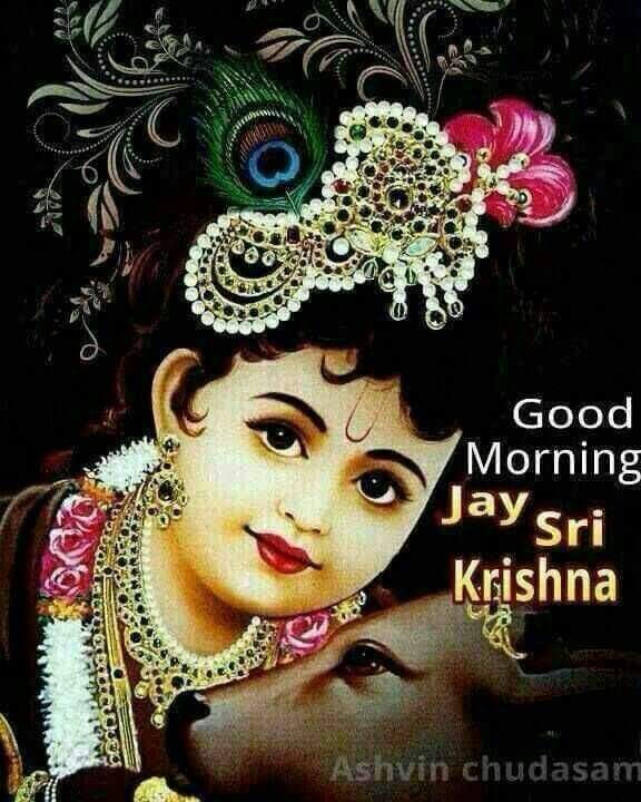 100 Epic Best Good Morning God Krishna Images Hd Hd Greetings