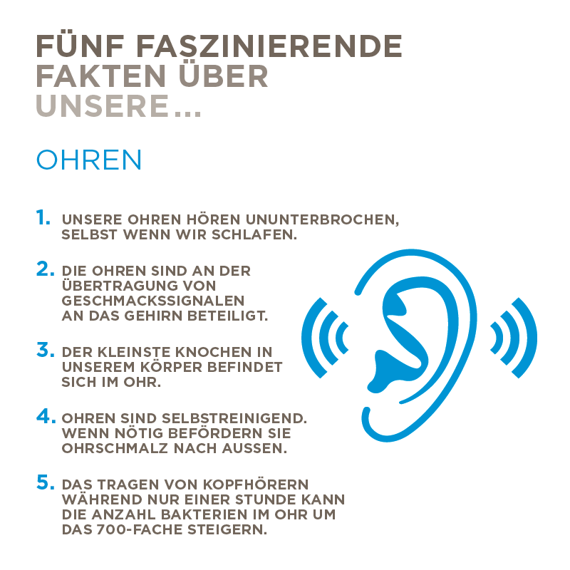 marconierlich's tweet photo. Nice one! MT @hirslanden: Heute startet unsere Serie "5 faszinierende Fakten über..." - diese Woche zum Thema #Ohren. http://t.co/KnTxsYtBda