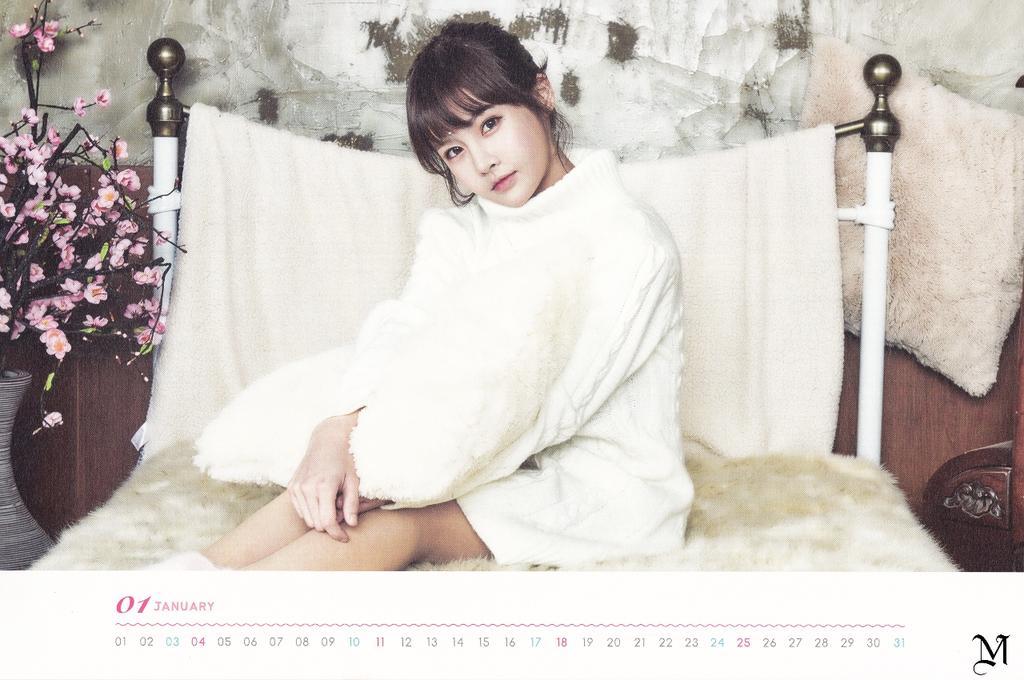 [Scan] T-ARA Official Calender 2015 B60nk-NCIAAUa28