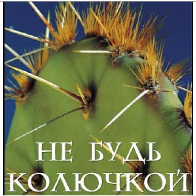 Картинки не будь колючкой, марта своими