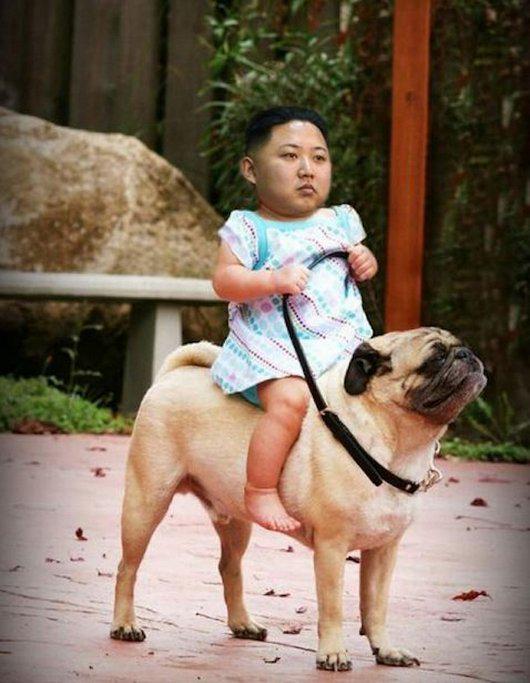 Kim Jong-un was born on this date January 8 in 1983. Happy Birthday, Kim Jong-un! 