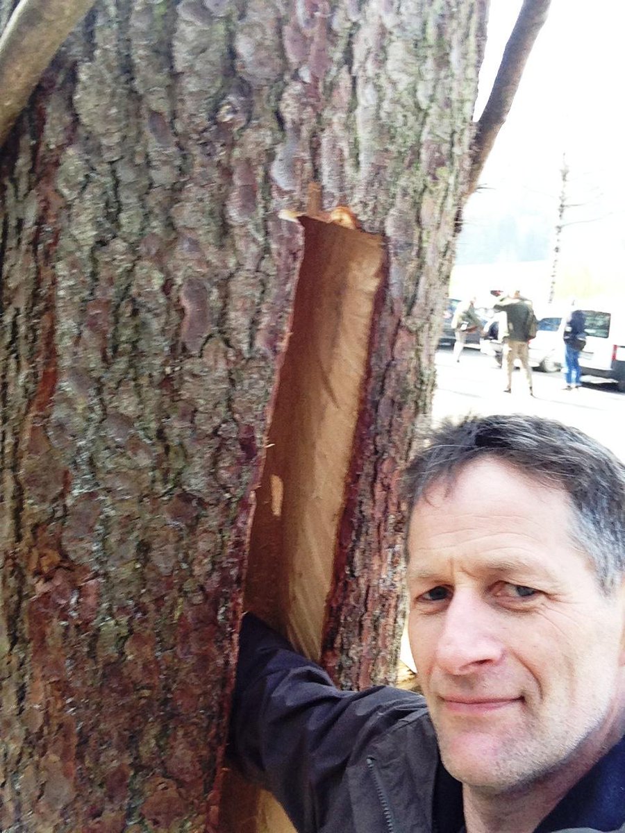 NaturalBeeTrust's tweet image. Learning the craft of #treebeekeeping
Switzerland
#beecentric
@BeesWingNet