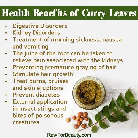 #health #benefits #curryleaves #natural #healthy #morningsickness #kidney #painrelieve #diabetes #stings