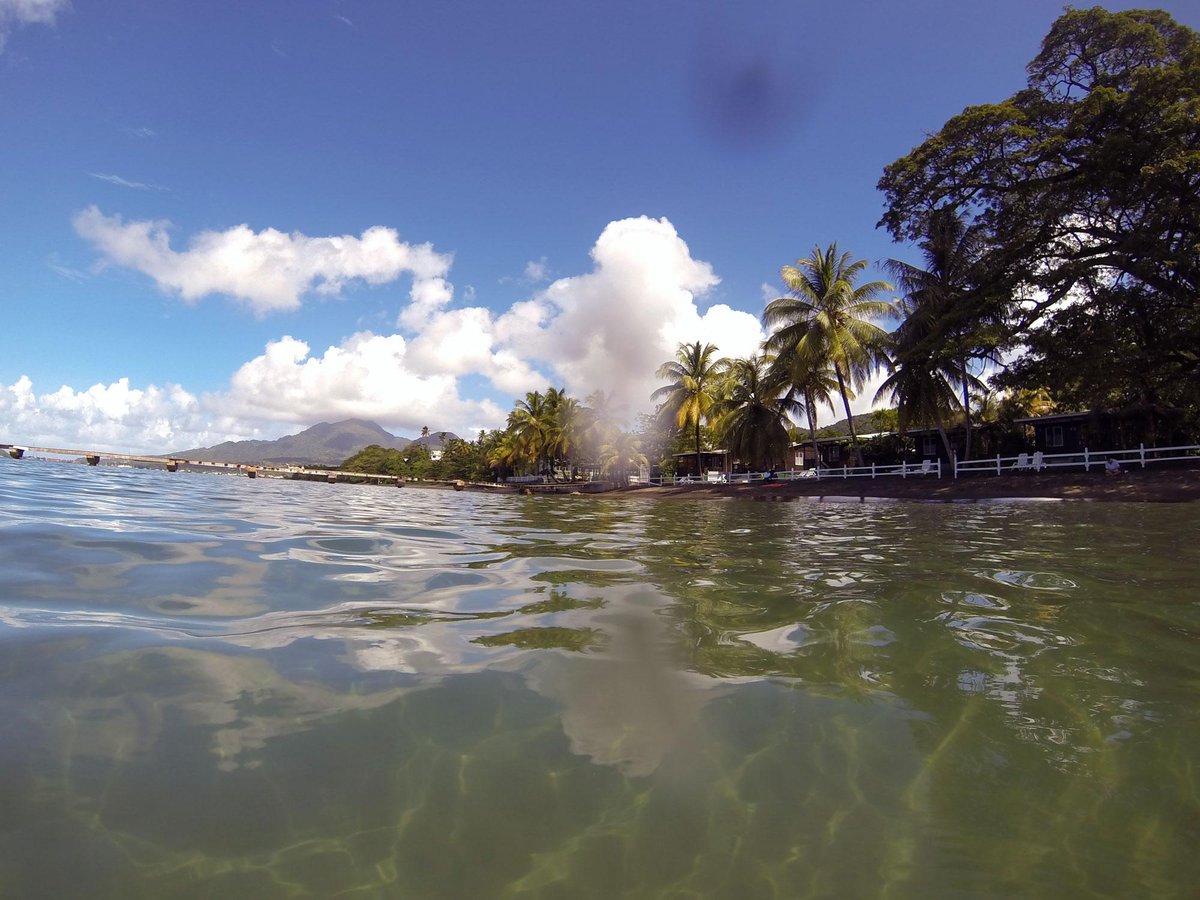 gridinoc's tweet image. current view #gopro #hackerbeach
