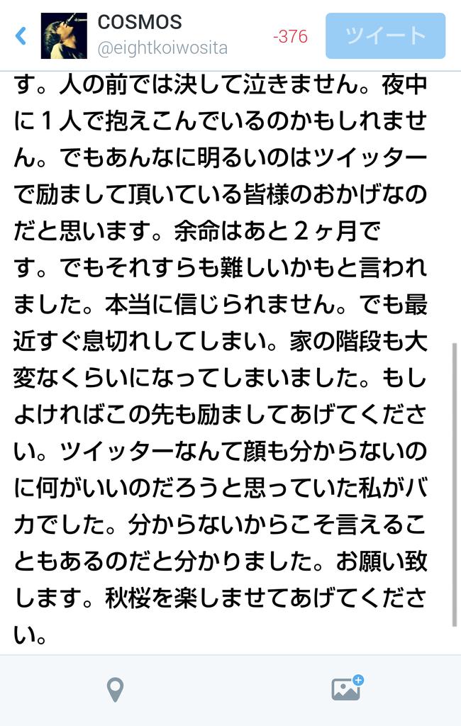 eightkoiwosita's tweet photo. 突然申し訳ありません。
秋桜の母です。 http://t.co/MQeknynzjr