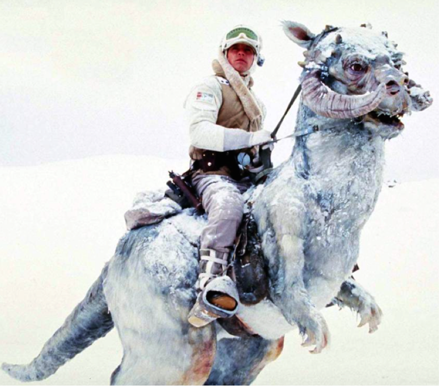 TriangleAutoB's tweet image. "I hope I make it to the weekend before my #tomtom freezes..." @starwars @weatherchannel #hothsystem #lukeskywalker
