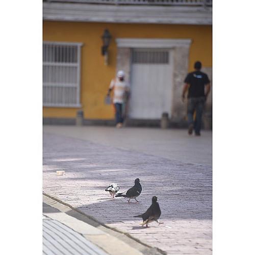 enmicolombia's tweet photo. @manugps en Instagram publicó: #Plaza en Cartagena #YoSoyNikon #NikonD750 #Nikonista #Nikon #Cartagena #Multicolo... http://t.co/PfocaD2vOP
