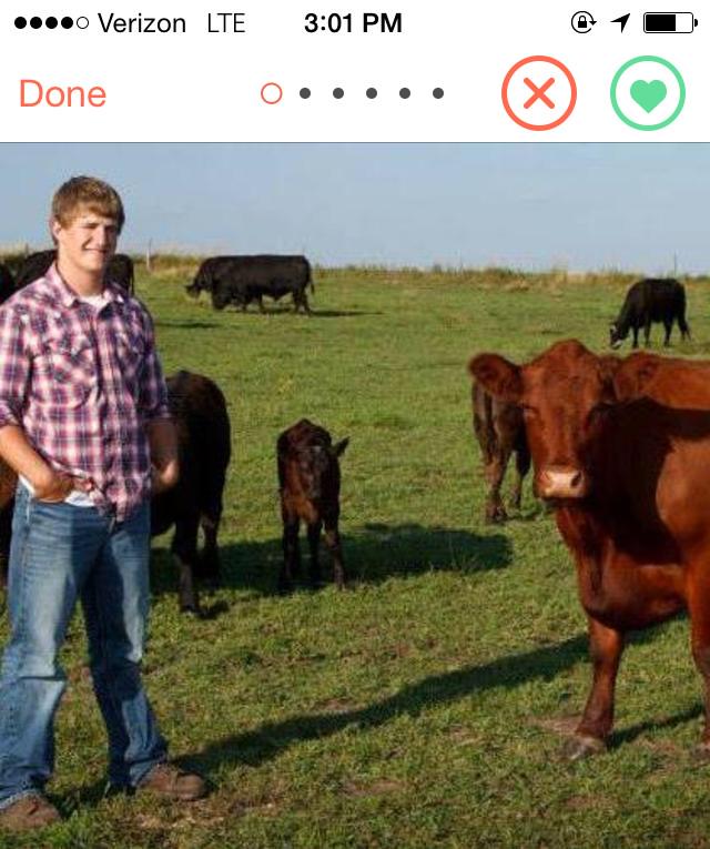 wartfergs's tweet photo. Found @_Andelion_ in the back of this tinder pic 💁 #Heiffer http://t.co/0Uv0AhLBYs