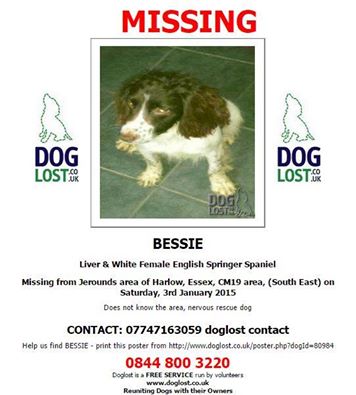 The_Animal_Team's tweet photo. #missing from HARLOW #ESSEX CM19 #RT http://t.co/RrwCCnMILz