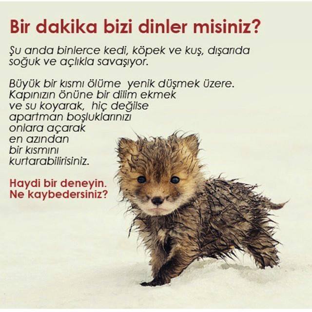 ne kaybedersiniz?