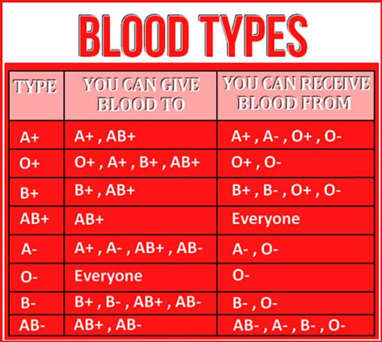 Blood Compatibility Chart