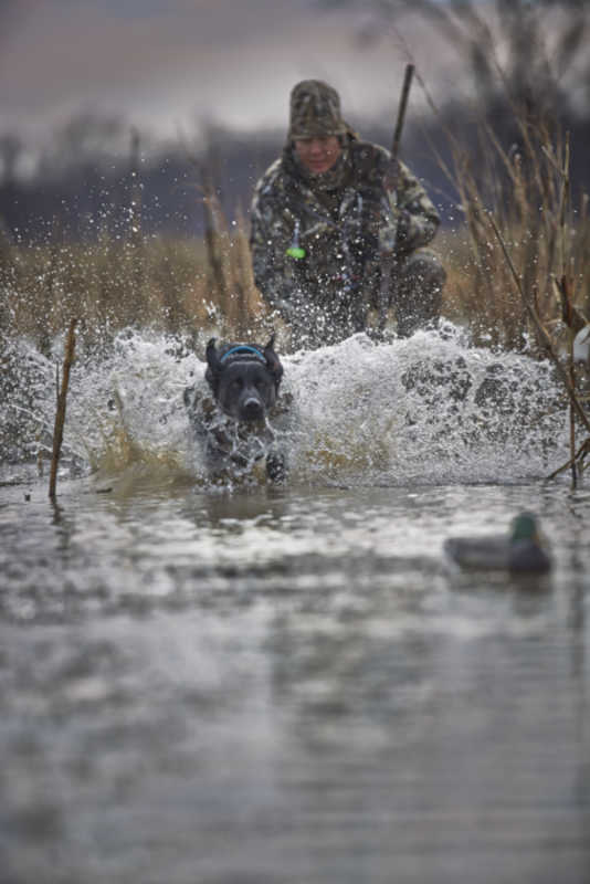 Cabelas's tweet photo. Dedication.

#CabelasCanine http://t.co/0gPgTJ7zW8