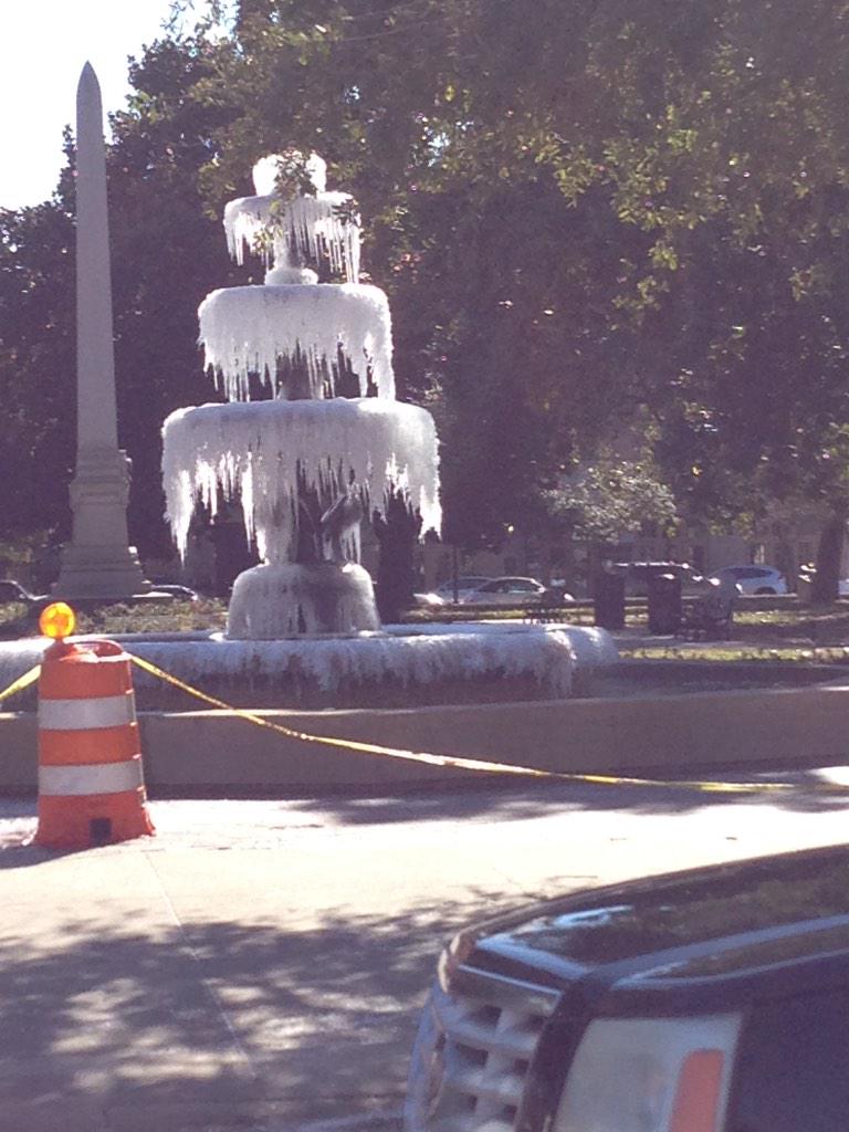 View image on Twitter