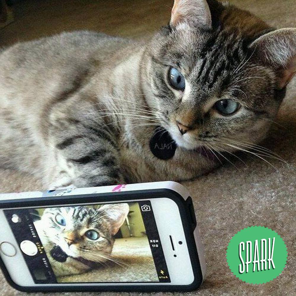 spark_cases's tweet image. Aaaaah mas essa #selfie vai sair tão linda que até merece virar #capinha *_*