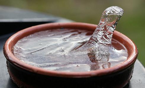 Science Friday tweet media