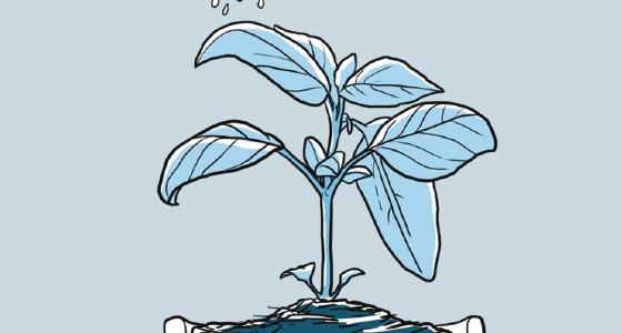 Link permanente da imagem incorporada