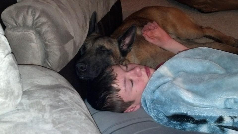 53Hours's tweet photo. #K9 Karson remains missing in subzero Ohio temperatures. Officer Popp hopeful he will be found
http://t.co/U3OHieCmQL http://t.co/A8DU5Hld11