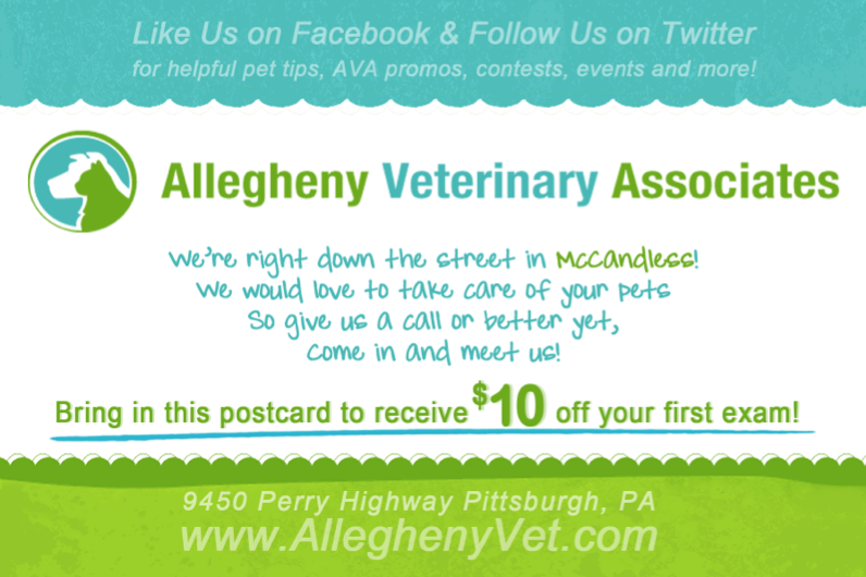 AlleghenyVet's tweet image. New Patient Deal! Print or save this on your phone &amp;amp; bring it into your first appt to receive 10$ off #vet #PGH