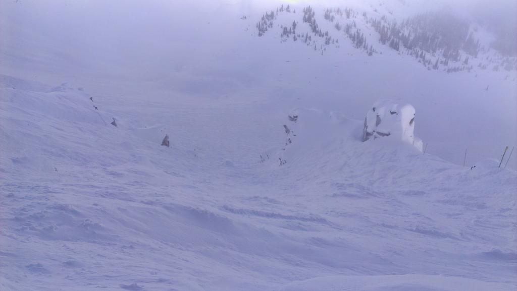 Skintrack tweet picture