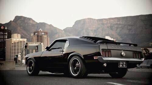 Muscle Cars tweet media