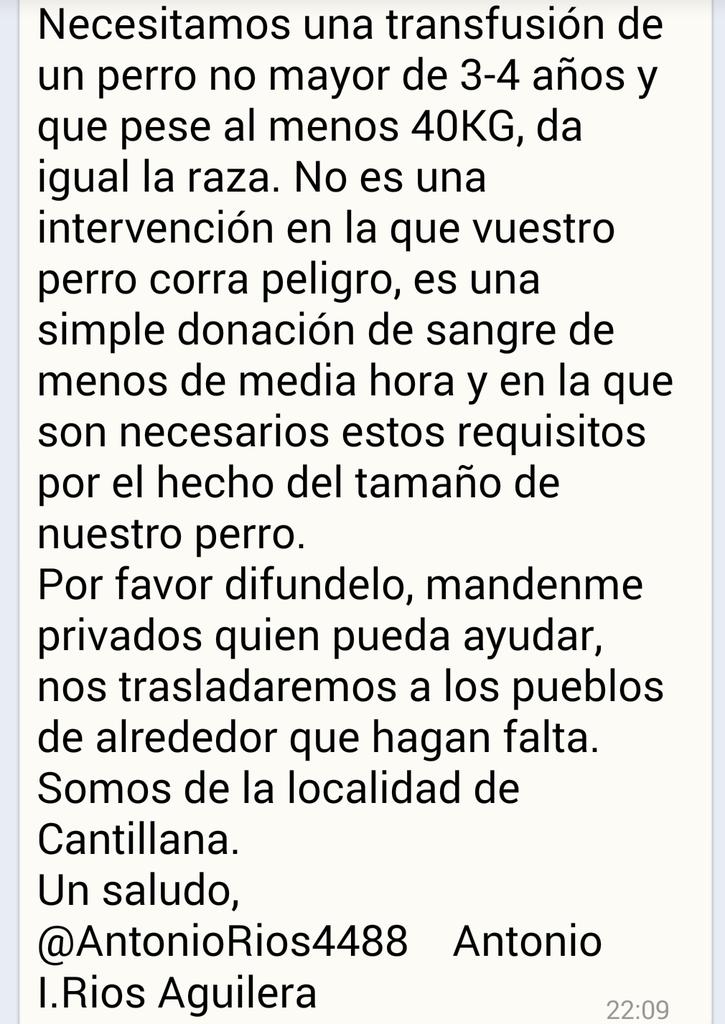 LASAnimal's tweet photo. MÁXIMA DIFUSIÓN!! El perro de @AntonioRios4488 necesita una transfusión de un perro no mayor de 3-4 años y de 40gr. http://t.co/mMWQ96KZyO