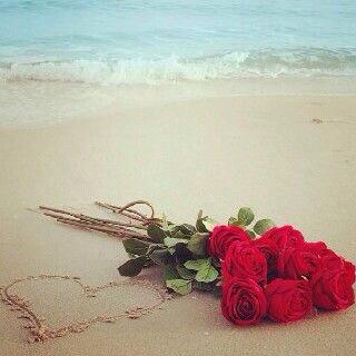 تصبحون على خير وأمل والأمان أن شاء الله