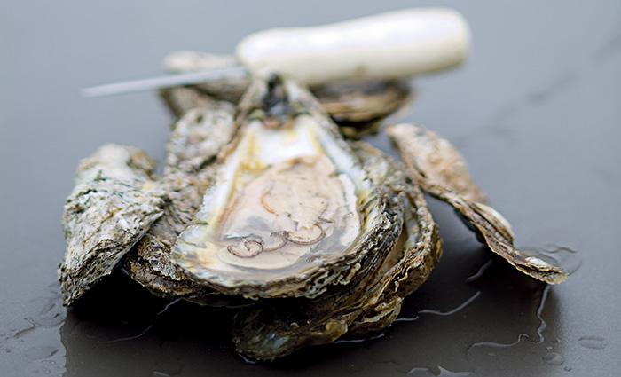 gardenandgun's tweet photo. For those of us with absolutely no patience for overcooked oysters: http://t.co/1mSgmzx0r7 http://t.co/B3c5grevWE