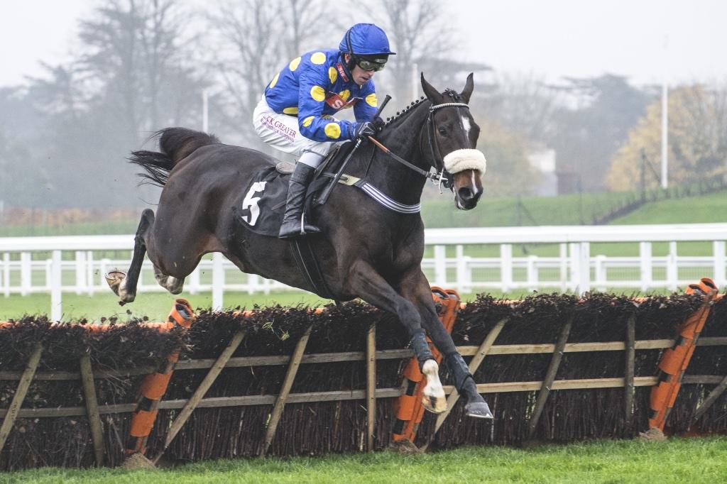 mick573tw's tweet photo. I like the look of this lad tomorrow @Huntingdon_Race for @SherwoodRacing #tips #itsasting #goodchance http://t.co/1cdx913r0H