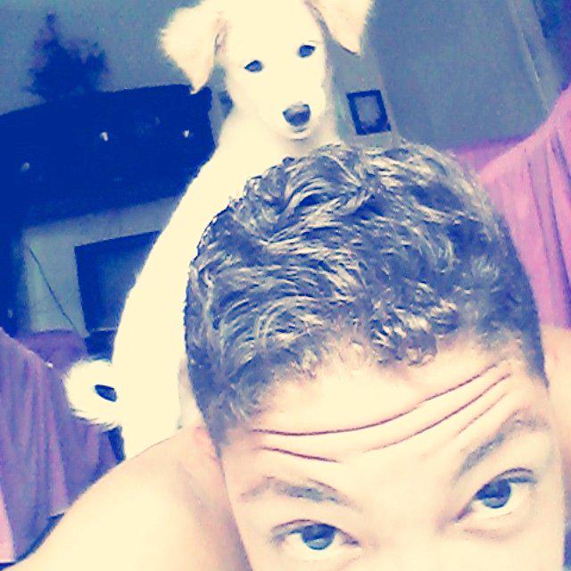 DaniloThoom's tweet photo. Meu cachorro lindo! 😊❤
#Acheei
#Baarney
#Toop
#Foofo
#Likee
#Follow http://t.co/hEjPXtpspT