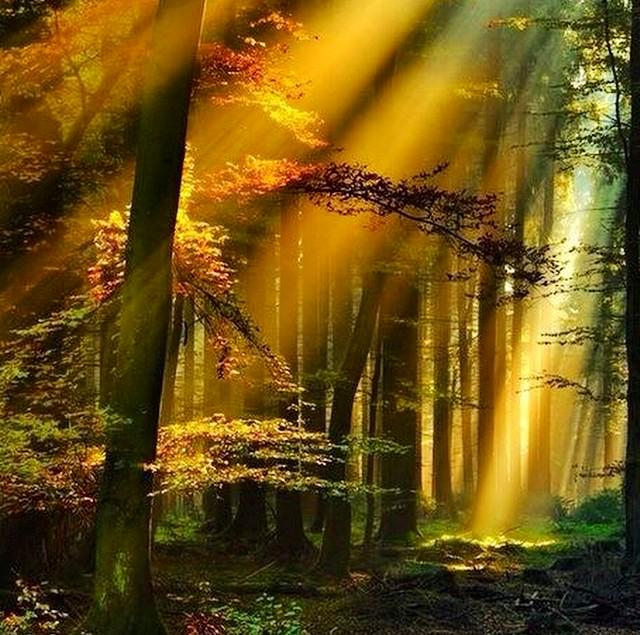 LucyCosme's tweet photo. 📌Con Dios cada día tenemos la posibilidad de ver la luz del cambio!
http://t.co/tSlhFf2LvB http://t.co/t7So731oVj