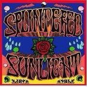 Splint_Sunlight's tweet photo. Tonight @ArdmoreMusicPA come out and party with the family! @jamjoints @CompassRose4 @deadheadland It's warm inside. http://t.co/fklgzsIx9z