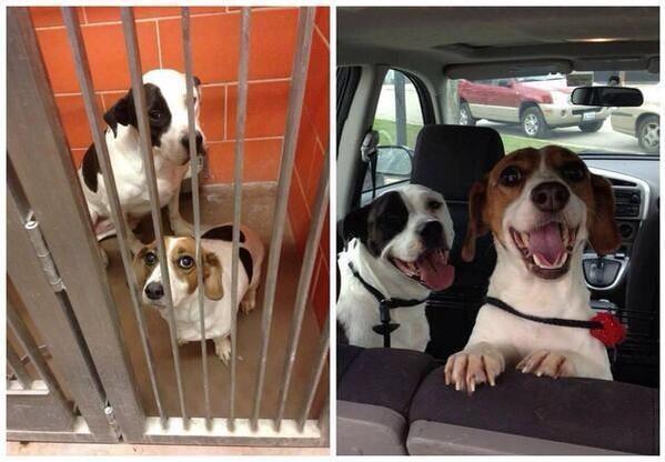 TheMindBlowing's tweet photo. Retweet if this makes you smile: http://t.co/jAj3RrzhCI