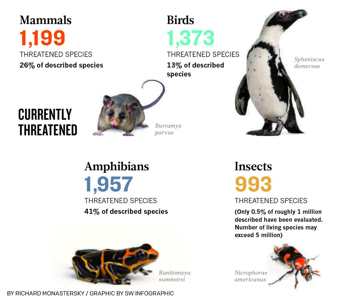How Many Endangered Species Are There | Examples and Forms