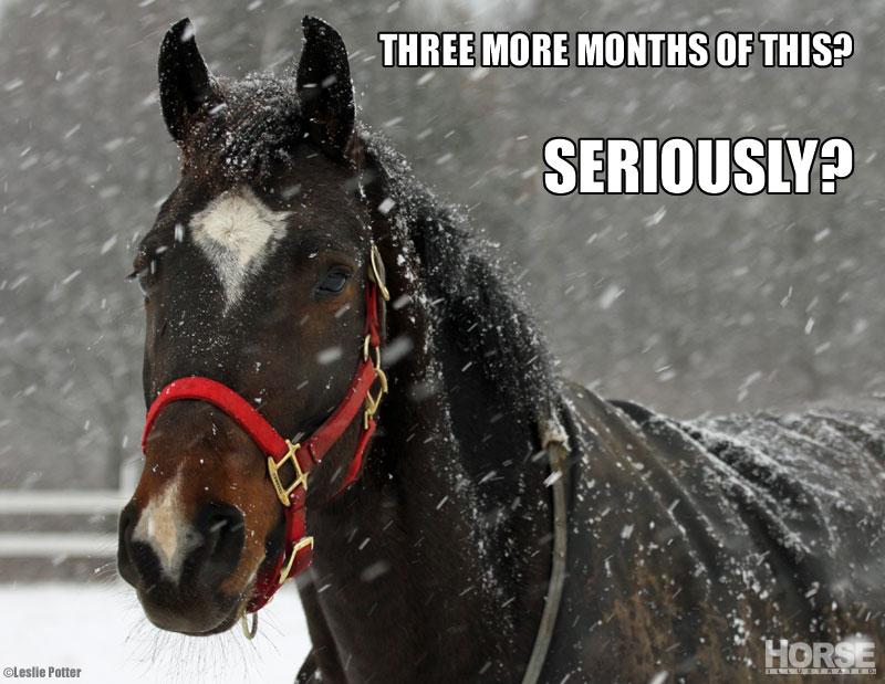 HI_mag's tweet photo. Who's ready for spring? http://t.co/7erEaHazeR
