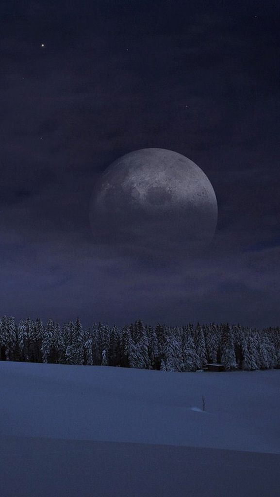 Everyday Wow tweet media