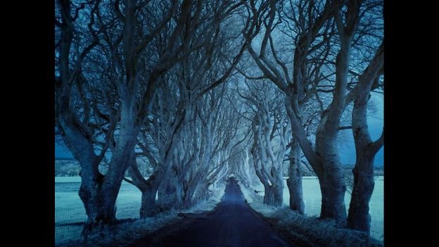 nmas's tweet photo. #Fotos Caminos solitarios http://t.co/LhC99pfMuq http://t.co/oSfHv0uM2l