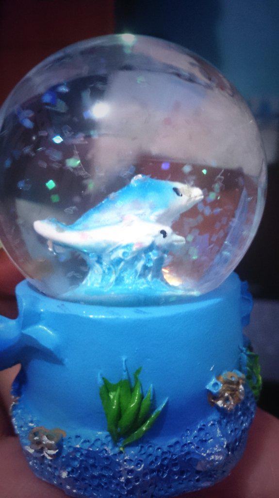 EyiiAdati's tweet photo. Snowglobe dolphin 🐬💃😍 http://t.co/I4KGKxzvTs