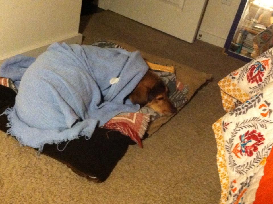 Bretjust1T's tweet image. #winterized