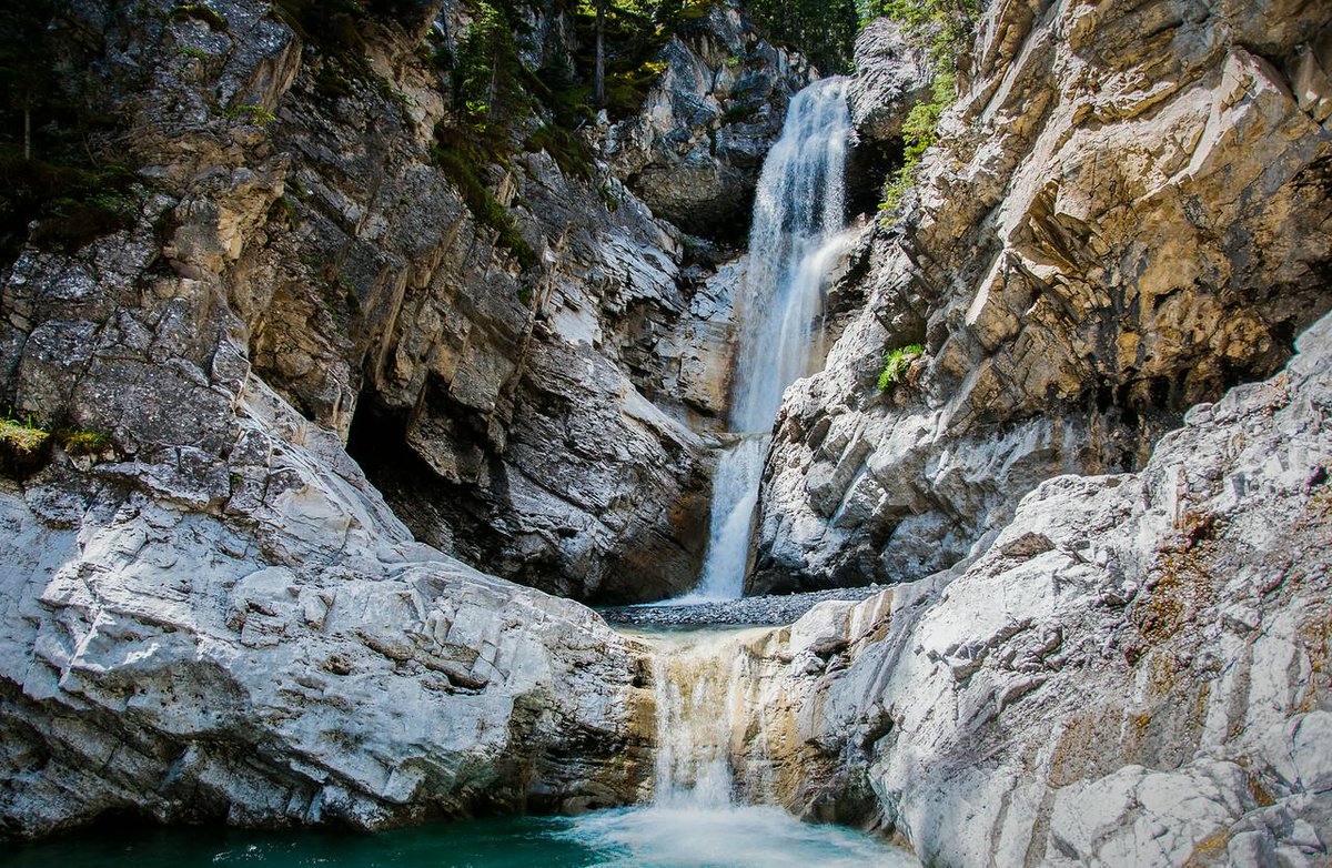 traillocker's tweet image. Left alone and given the time, nature will produce more than any of us could ever envision. @EverywhereTrip