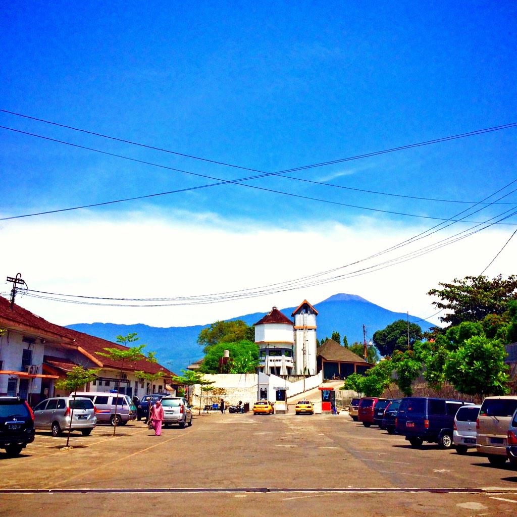 Los Javanian tweet media