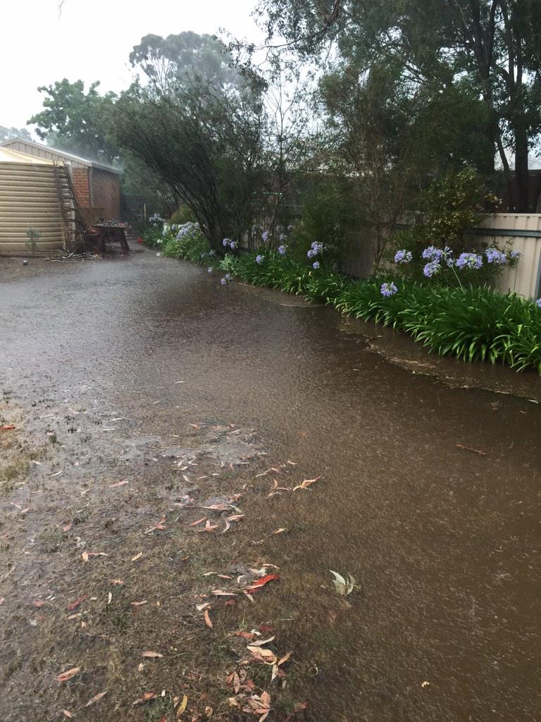 joelbpeterson's tweet photo. Anyone for a swim? #alwayswantedapool http://t.co/C9oOA58urY