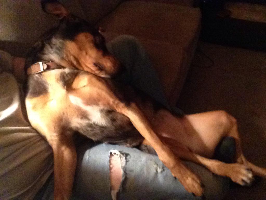 FSProindy's tweet image. Good times