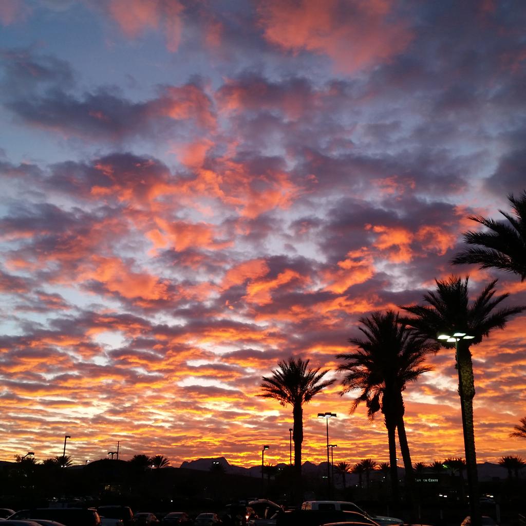 NewAMPac's tweet image. Vegas sunset #CES #VIVALASSHAREIT